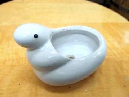 ボイストレーニング教室に置いたかわいい白蛇の鉢。