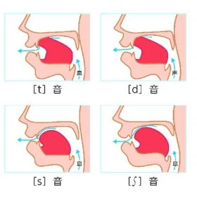 発声に重要なのが母音滑舌に重要なのは子音