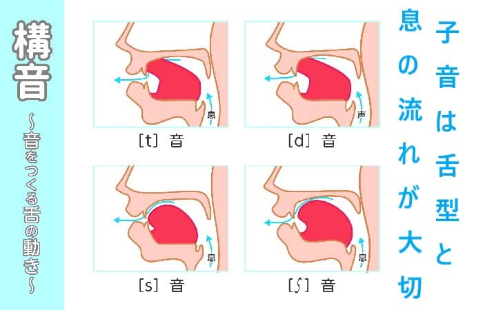 発声に重要なのが母音滑舌に重要なのは子音