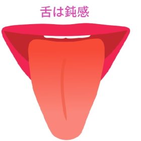 意識して動かして正確で正しい舌の形を覚える