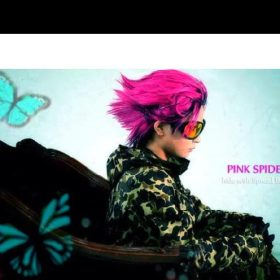 hide ピンクス パイダー X japan のギタリストソロ曲。