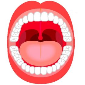 舌が思い通りに動く事って大切。声が通るには口の中の形が大切。