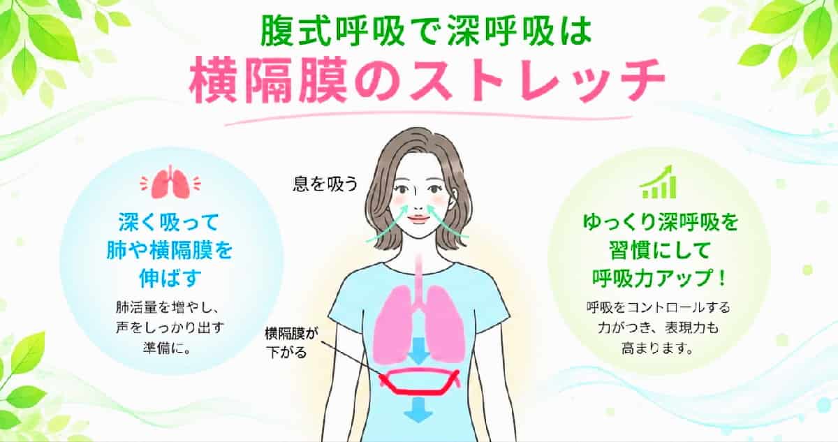 腹式呼吸で深呼吸は横隔膜のストレッチになり肺活量を増やす