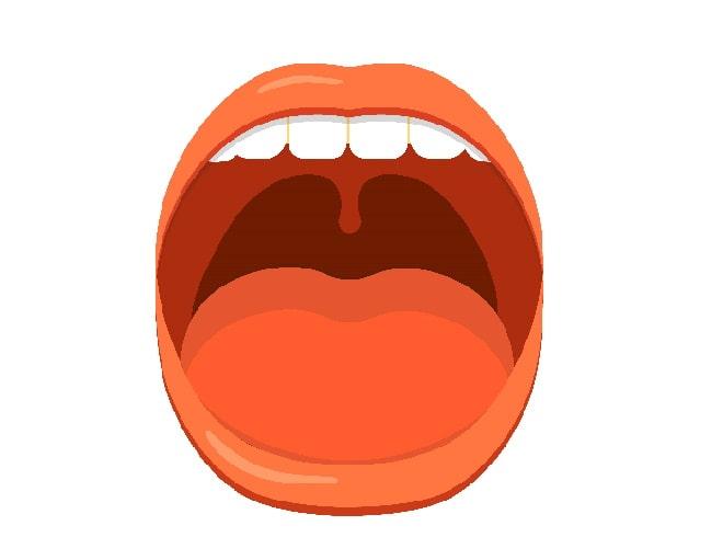 口や喉の形は安定した発声には大切。