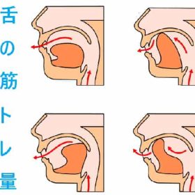 大人なら正しい舌の練習は一日数分を毎日繰り返すで改善して行きます。