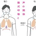 腹式呼吸で声は良くなるのか？