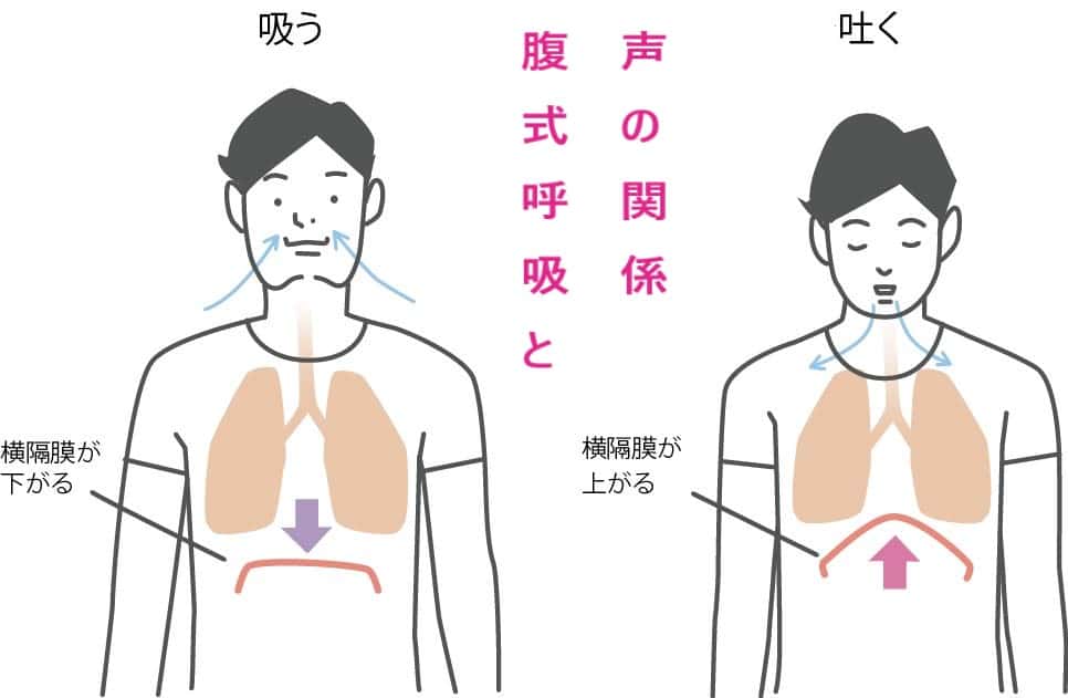 自然な腹式呼吸で声は良くなる。