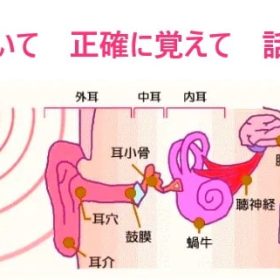 聞いて自分の言葉として発する。