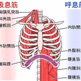 話していて息が苦しくなる原因は息を全部吐く事。