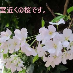 新しい就職先で皆の前で自己紹介する練習しました。