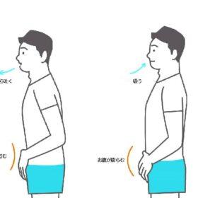 腹式呼吸と声のレベルと歌のレベルは呼応する。