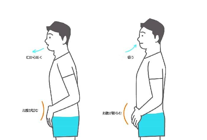 腹式呼吸と声のレベルと歌のレベルは呼応する。