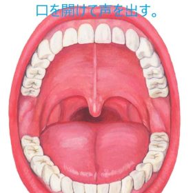 口を開く練習をボイトレでします。