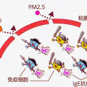 声が出なくなりました。 PM2.5と黄砂と花粉のトリプルパンチか。