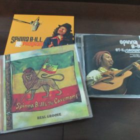 好きなタイプの音楽のCDを購入した話。