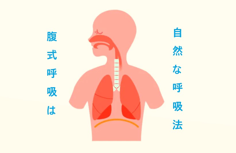 腹式呼吸は自然な呼吸で発声に必要。