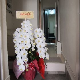 そりゃ、おめでたいです!10周年記念にいただいたお花。