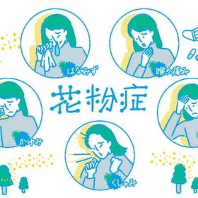 花粉症で声が出ずらくなるときがある。炎症が鼻喉から声帯へ行くから。