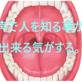 声が人を表すのかも。