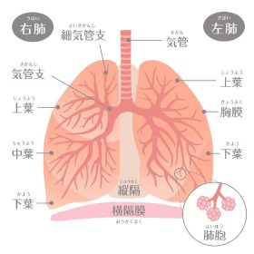 言いにくかった言葉シリーズ16回目 今回の言葉は摘出手術です。