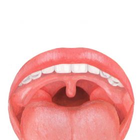 喉がイガイガする原因。 喉に力入れて喉を閉めてしまう。
