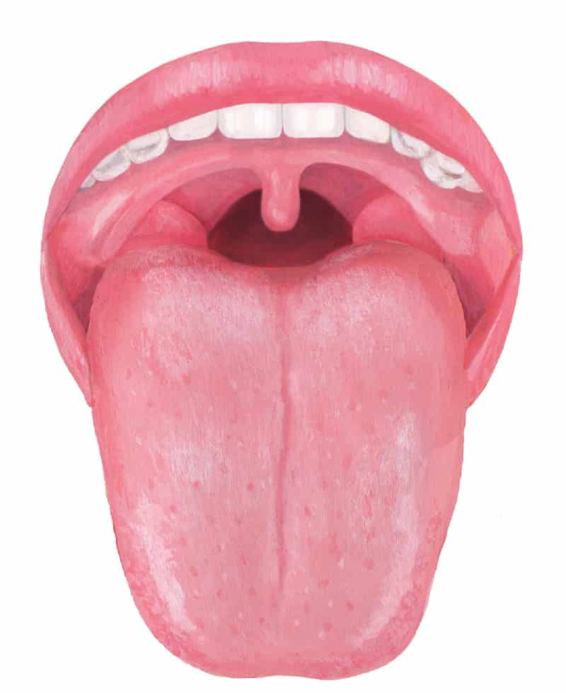 舌は疲れやすいもの。