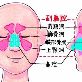 鼻は声を大きくするもの。 通る声にするには鼻声の練習が効果的