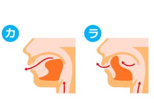 滑舌は舌の動きが大切。
