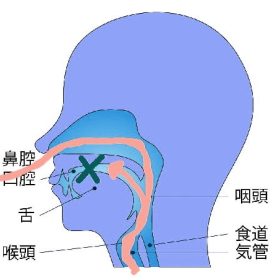 鼻から息もれる声。鼻から息が漏れる小さい声