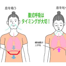 腹式呼吸はタイミング良く使って歌に活かします。