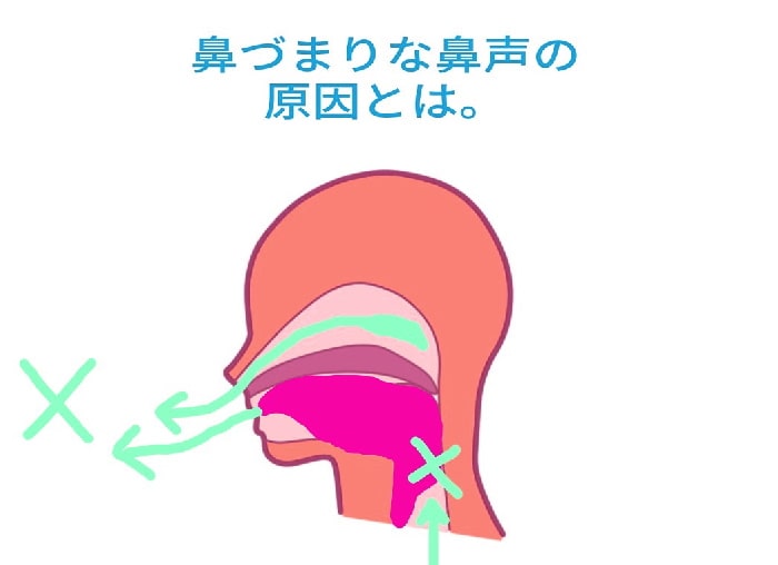 鼻声は舌が上顎に着いて喉の開きが無いとひどくなる