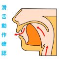 口の容積と滑舌。