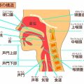 喉声とは？苦しい声の原因と直し方