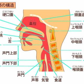 のど声とは腹式呼吸を使わない声の事。