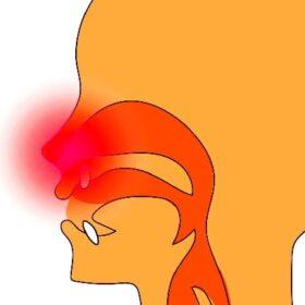 鼻にかかった声が気持ち悪いのは不自然な声が理由。