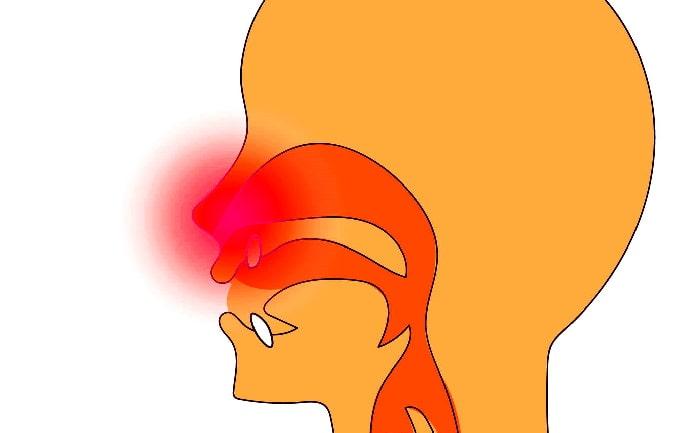 鼻にかかった声が気持ち悪いのは不自然な声が理由。