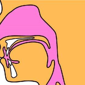 鼻声は口を開けて話さないから不自然な声になる。