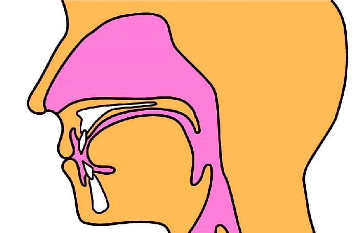 鼻声は口を開けて話さないから不自然な声になる。