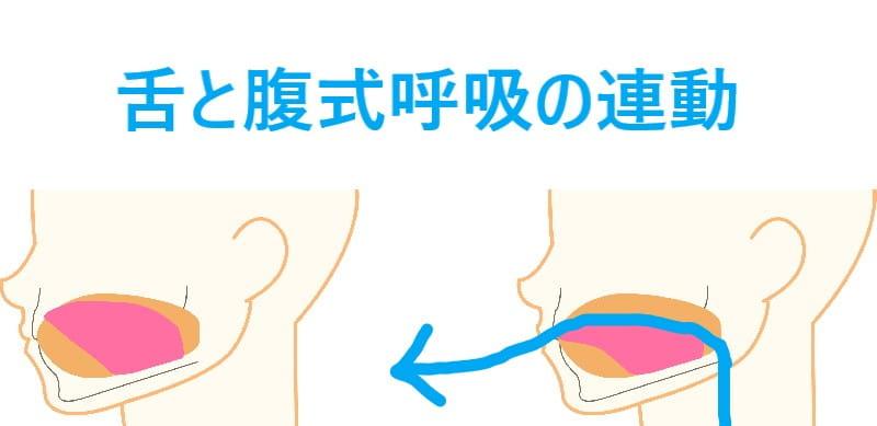 滑舌は正確な舌の動きと腹式呼吸の連動が必要。